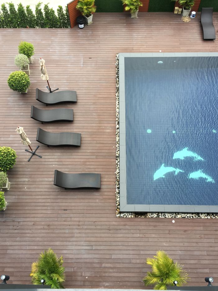 Top-down view of a sleek swimming pool with stylish lounge chairs and lush plants.